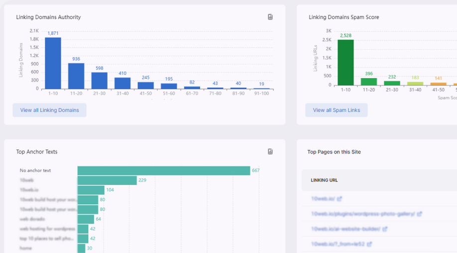 Website’s Backlink Profile