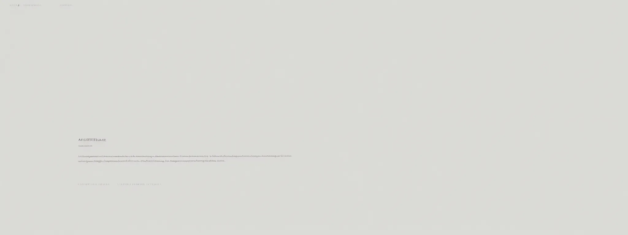 an austere, nearly blank webpage with a single line of text.