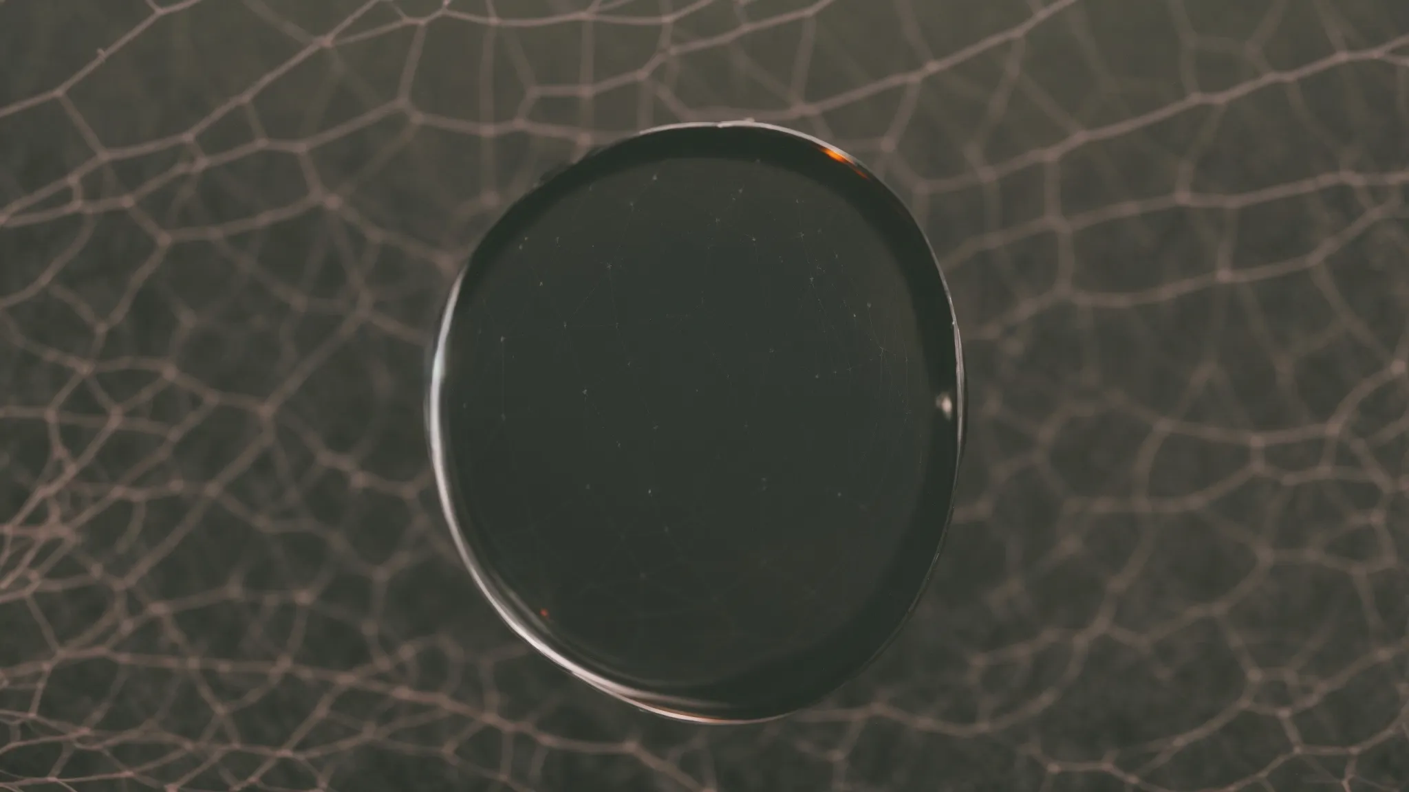 a magnifying glass hovering over a web-like structure highlighting a single, unconnected node.