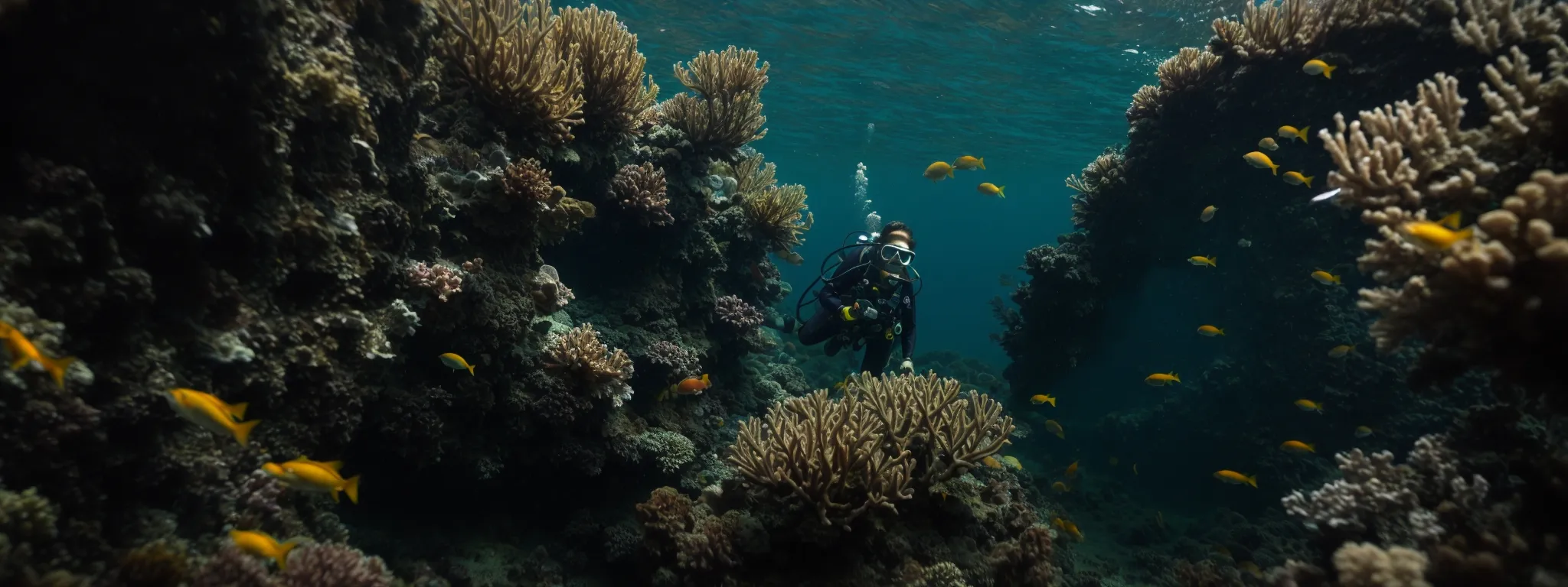 a diver exploring a deep underwater coral network.