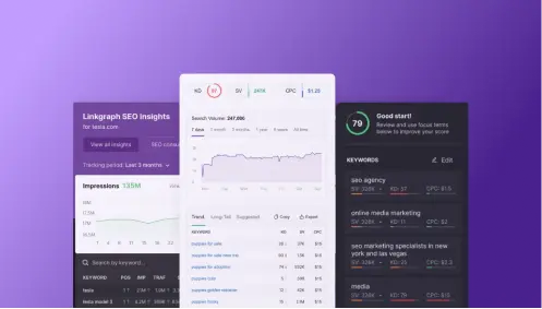 An enterprise SEO software analytics dashboard interface displaying SEO insights and keyword performance metrics on a purple background.