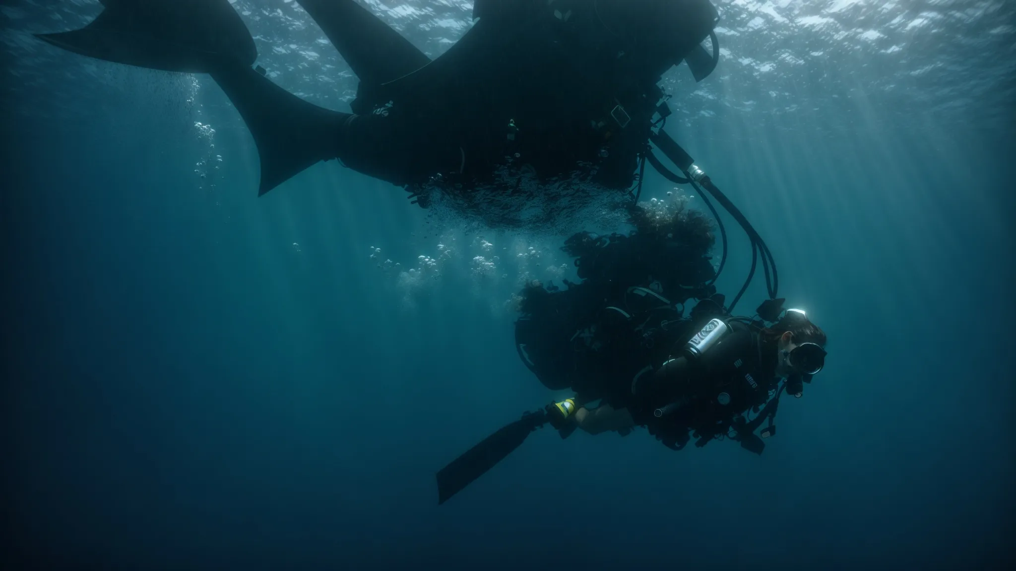 a diver explores the invisible depths of the ocean, surrounded by the vastness and mystery akin to the complexities of digital keyword analysis.