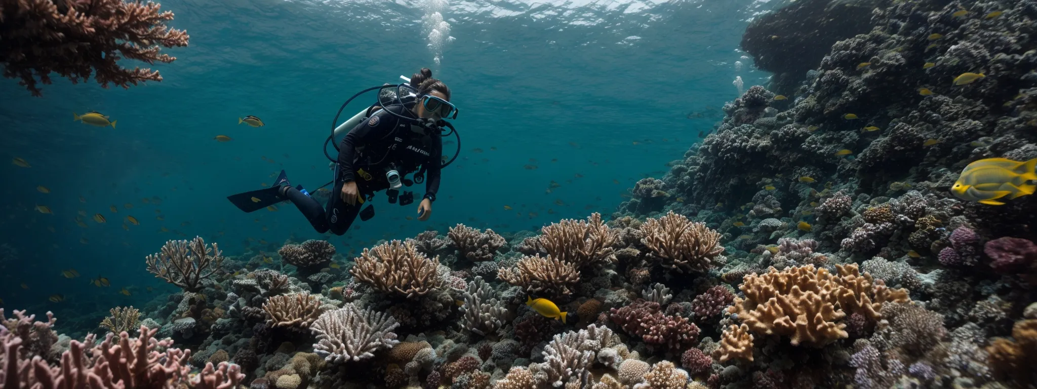 a diver explores a vibrant coral reef teeming with marine life, symbolizing the detailed search for valuable long-tail keywords.