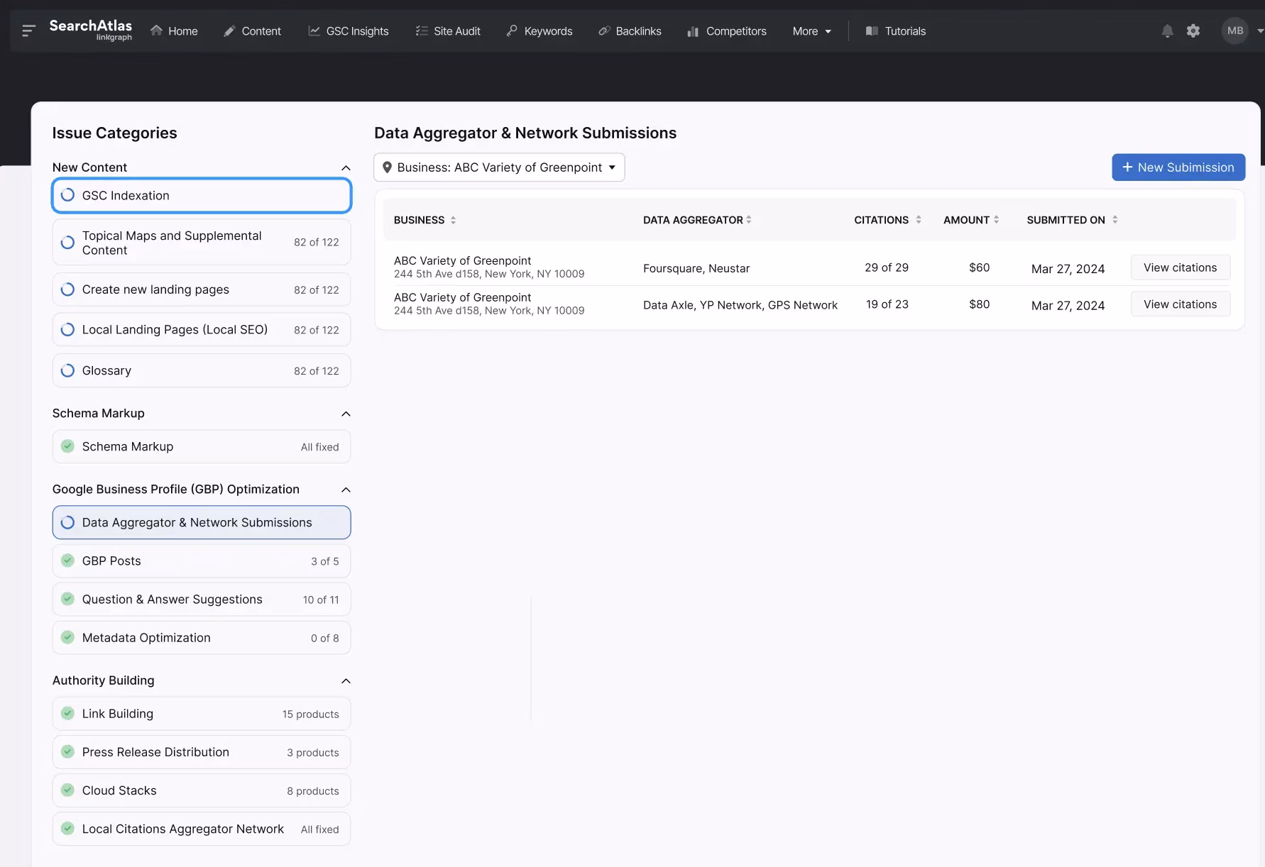 Screenshot of a Local Citation Builder and network submissions dashboard, showing business details and submission status. Categories listed on the left, with the main panel displaying business and submission data.