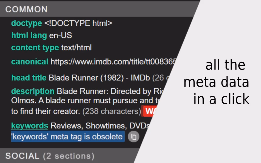META SEO Inspector extension