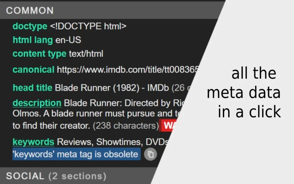 META SEO Inspector extension