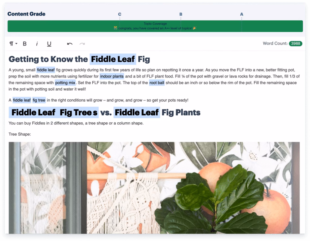 Use Topic Content Grade Tool