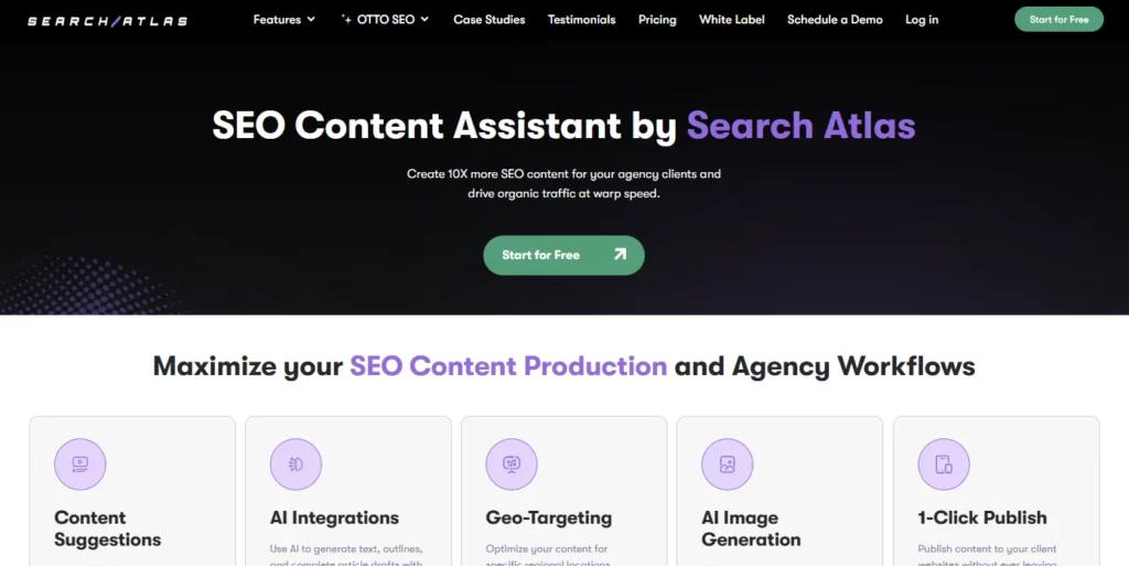 Content Optimizer SS