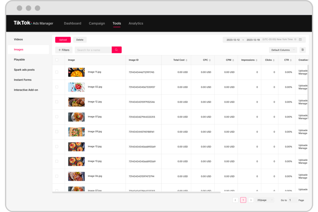 tiktok ads manager