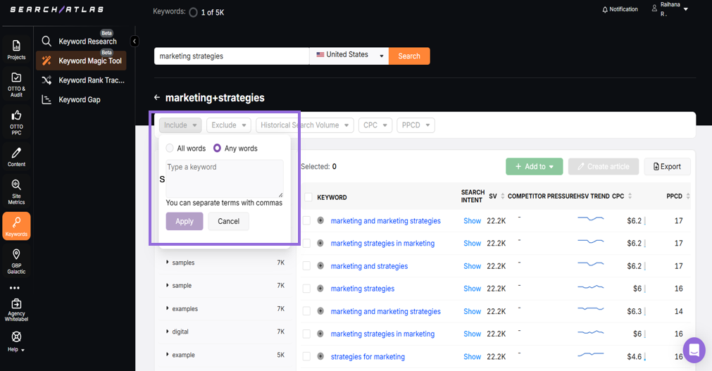 Including and excluding keywords in Keyword magic tool