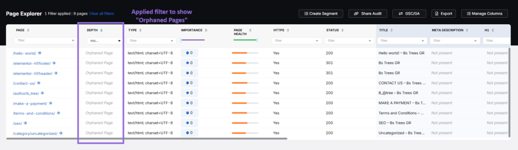 locating orphaned pages in the Search Atlas Site Explorer Tool