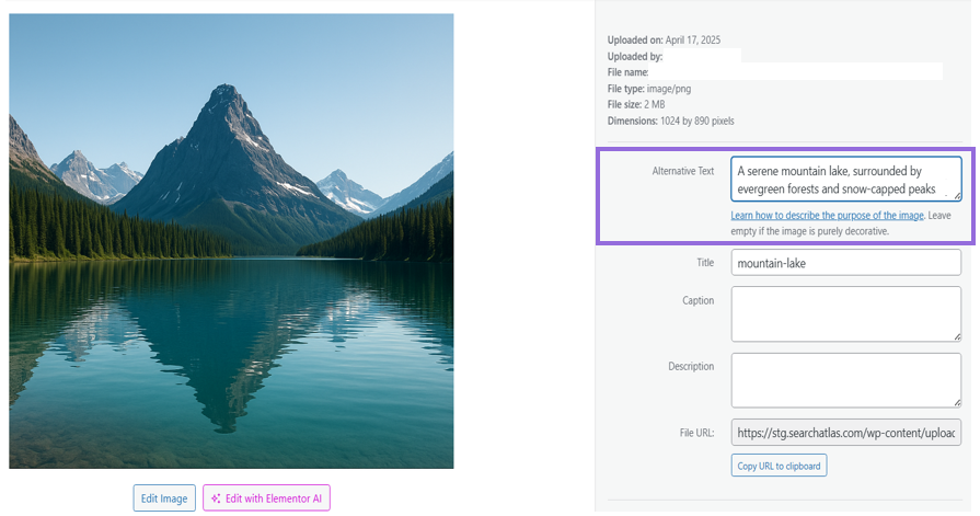 WP alt text inclusion