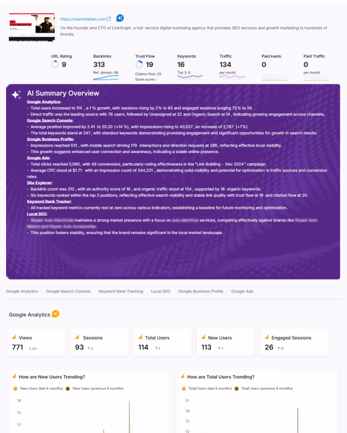 SEO report with ai overviews