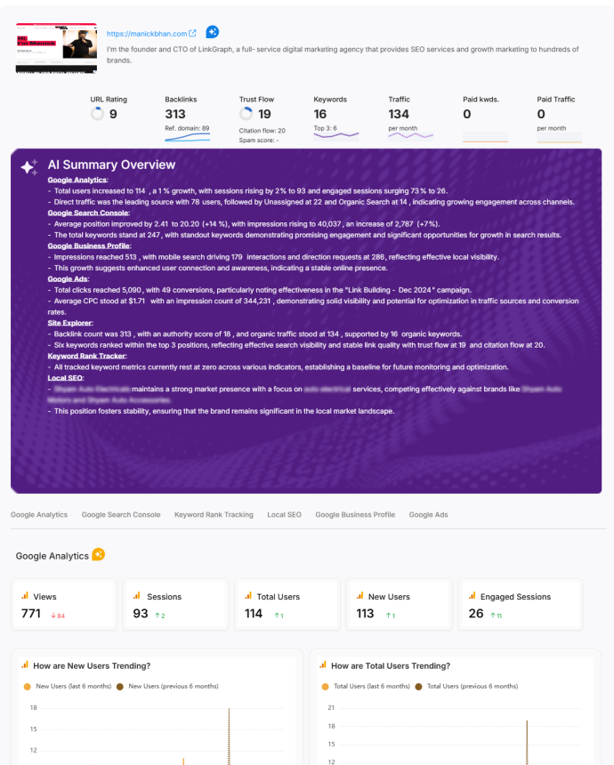 SEO report with ai overviews