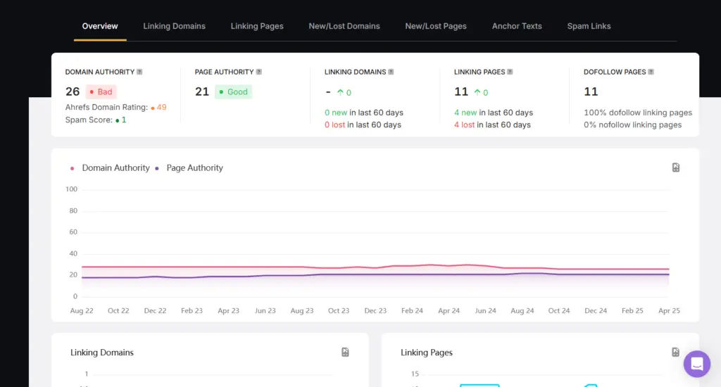 Backlink overview for SEO analysis