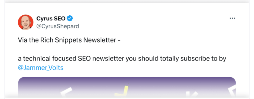 rich snippets newsletter review 2