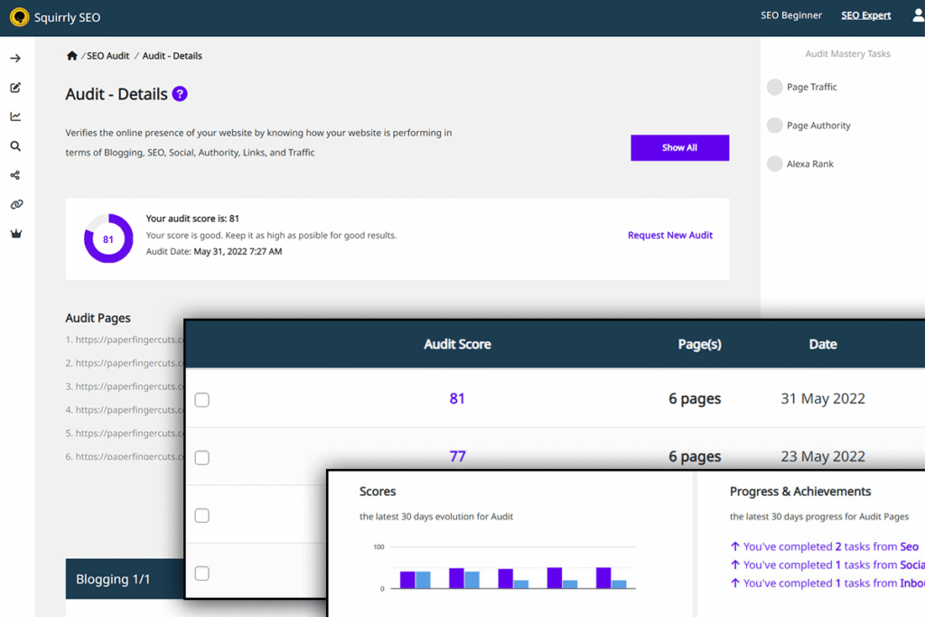 squirrly seo audit