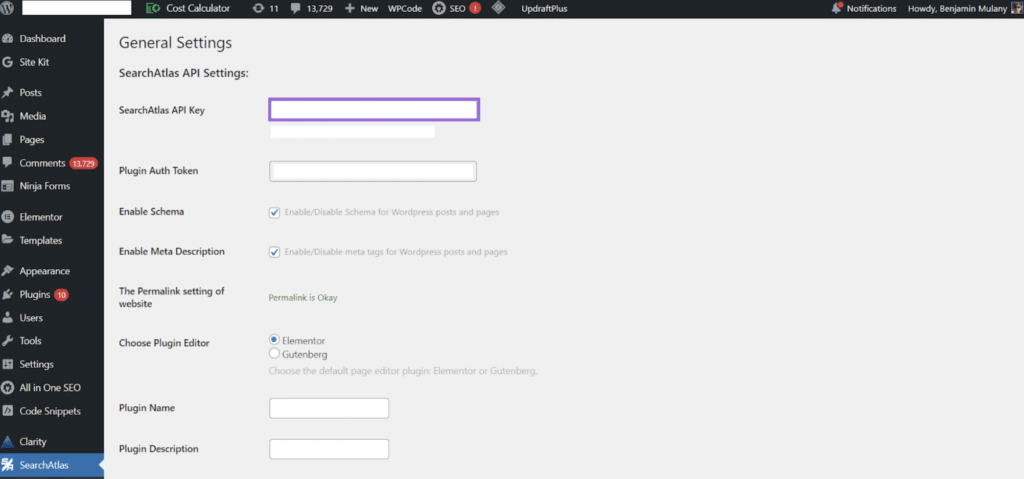 Connect Search Atlas WordPress Plugin Step 2