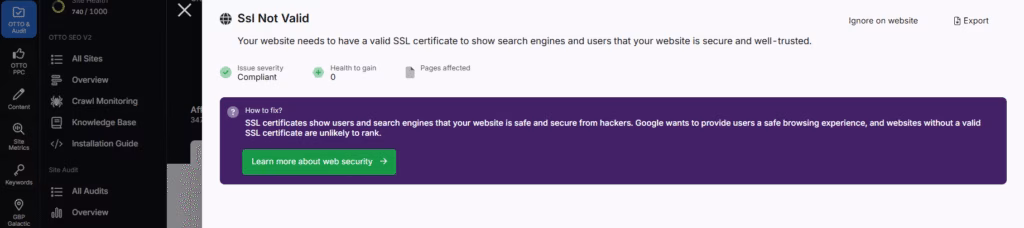 Individual issues site audit