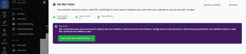 Individual issues site audit