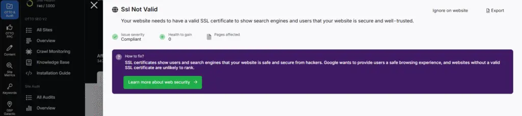 Individual issues site audit