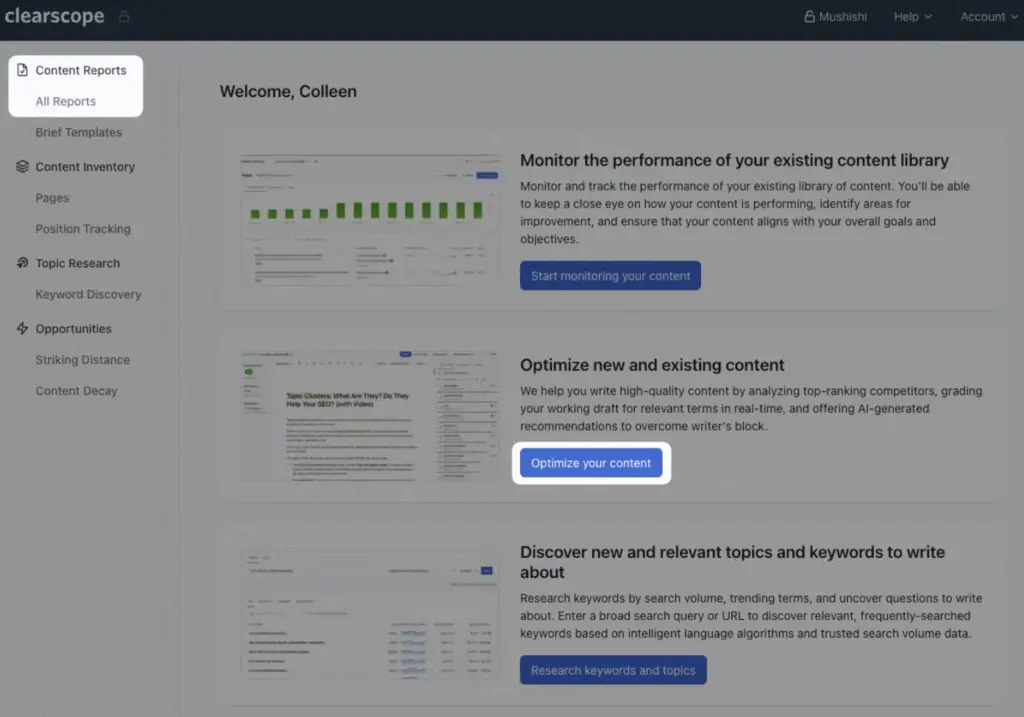 clearscope content report