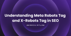 how to use meta robots tags and x-robots tags