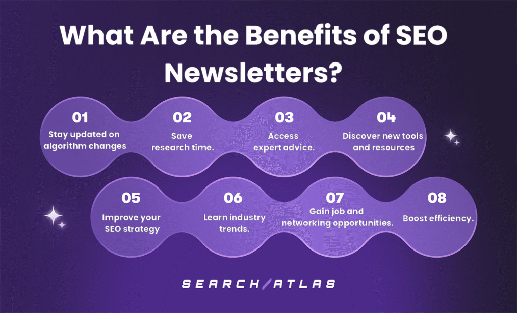 most subscribed newsletters