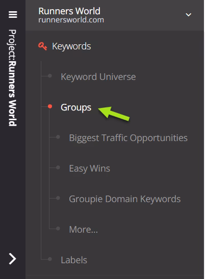 spyfu keyword groups for export