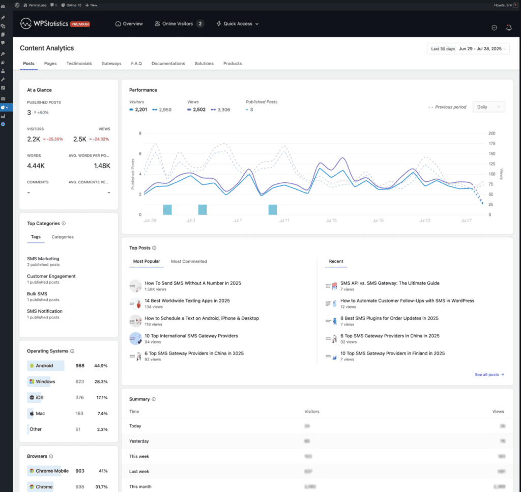 WP Statistics dashboard